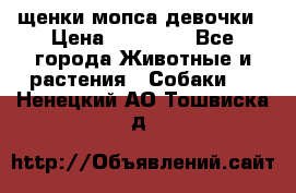 щенки мопса девочки › Цена ­ 25 000 - Все города Животные и растения » Собаки   . Ненецкий АО,Тошвиска д.